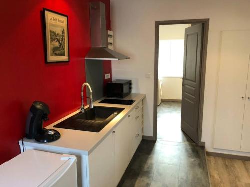 a kitchen with a sink and a red wall at Le Grande Moderno in Angoulême