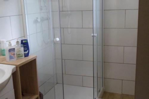 a bathroom with a shower with a glass door at Pegaz in Slap ob Idrijci