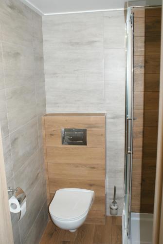 a small bathroom with a toilet and a shower at Apartament na Górce in Międzybrodzie Bialskie