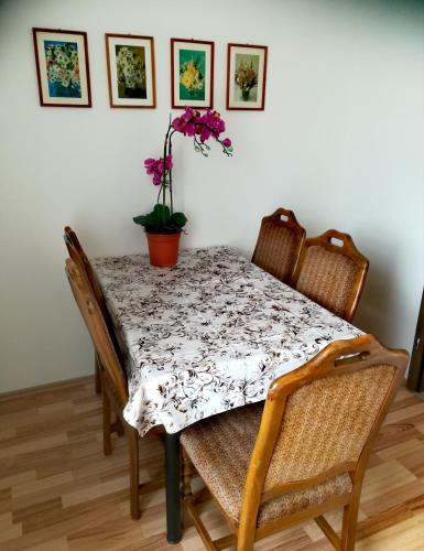a dining room table and chairs with a plant on it at Ferienwohnung Karsten - nahe Chemnitz in Limbach - Oberfrohna