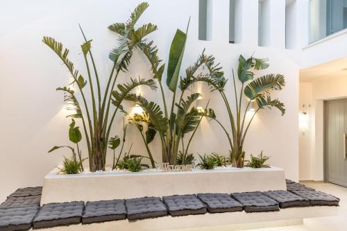 a room with plants on a wall at Alenor City Hotel in Naxos Chora