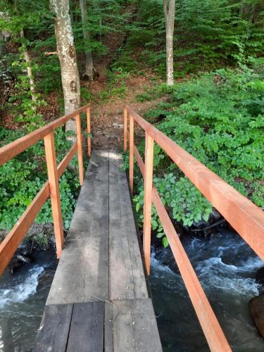 a wooden bridge over a stream in a forest at Ibis in Sovata