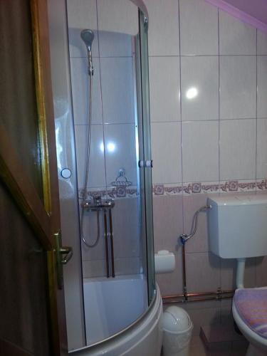 a bathroom with a shower and a toilet at Pensiune La Becu in Vidra