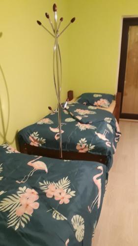 Φωτογραφία από το άλμπουμ του RIJA σε Cēsis