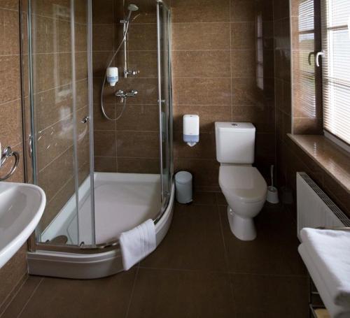 een badkamer met een douche, een toilet en een wastafel bij Gamtos Perlas in Karklė