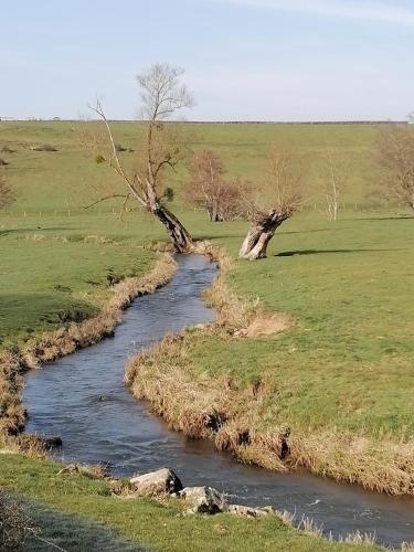 Gite Fée Grenouille