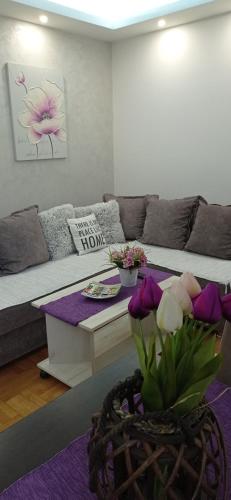 a living room with a couch and a coffee table at Apartman Harmonija Vrnjačka Banja in Vrnjačka Banja