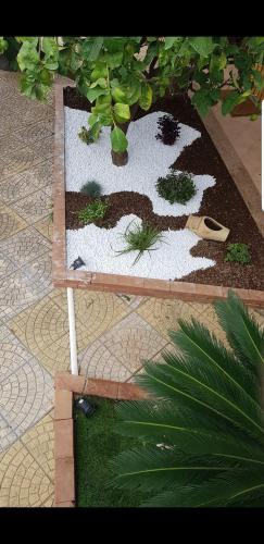 un jardín con plantas en el suelo en una habitación en Villa Francesco, en San Leone