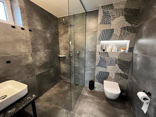 a bathroom with a shower and a toilet and a sink at Veltlin Bed & Wine in Valtice