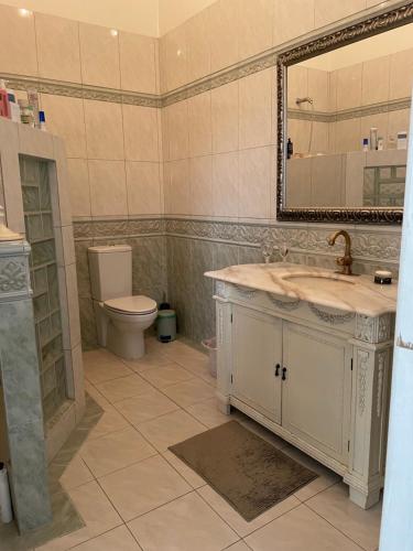 un bagno con lavandino, water e specchio di Dobbeltværelse i smuk palævilla a Stenstrup