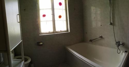 baño con bañera, aseo y ventana en Seehaus traumhaft Wörthersee, en Tiebitsch