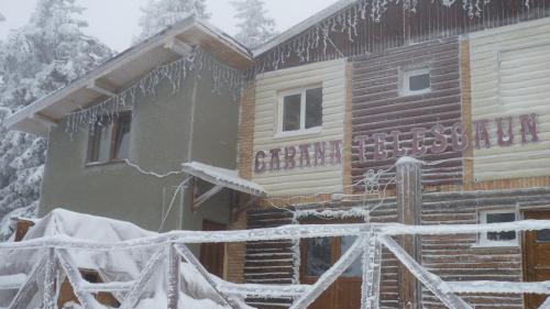 dom pokryty śniegiem z soplami w obiekcie Cabana Telescaun w mieście Petroszany