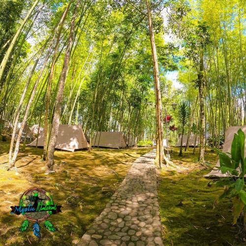 Mystic Natural – Photos 3