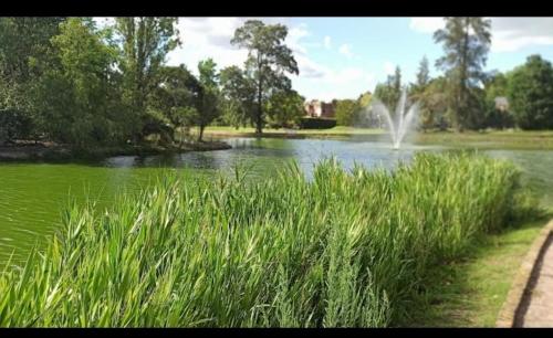 Pilar del Lago Golf – Photos 3
