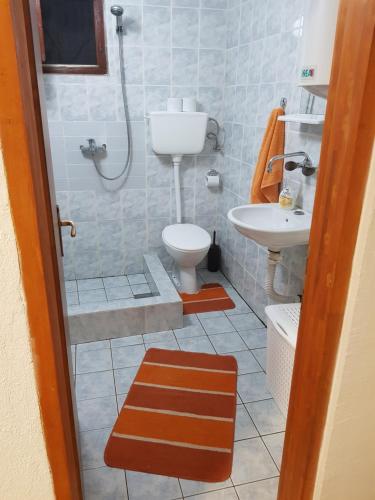 a bathroom with a shower and a toilet and a sink at Zen House in Cetinje