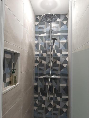 La salle de bains est pourvue d'une douche et d'un mur en mosaïque. dans l'établissement Laetitia et Yaniv Dagon, à Elne