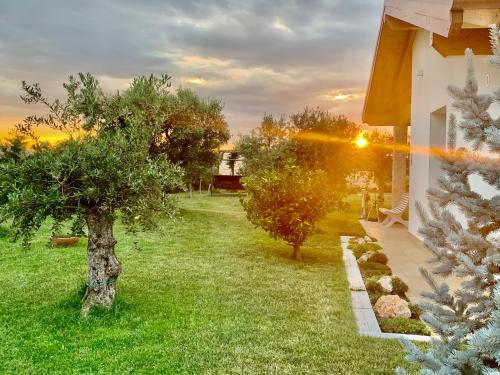 vistas a un patio con árboles y una casa en B&B La Casa Del Sole en Sala Baganza