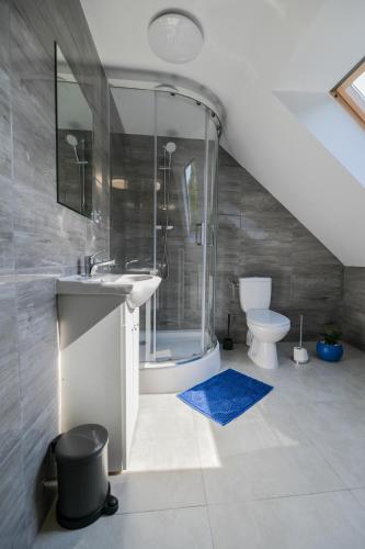 a bathroom with a shower and a sink and a toilet at Toffee House in Zator