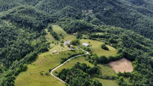 an aerial view of a farm in the middle of a mountain at Agriturismo Il Noce d'Oro in Borgo Val di Taro
