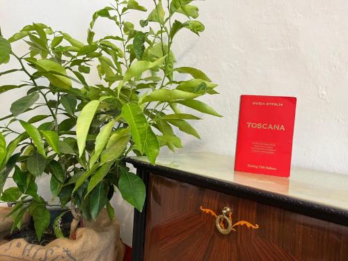a book sitting on a shelf next to two plants at Casina Orione in Montecatini Val di Cecina