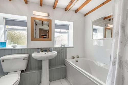 uma casa de banho com um lavatório, um WC e uma banheira em Henrhiw Bach em Dolwyddelan