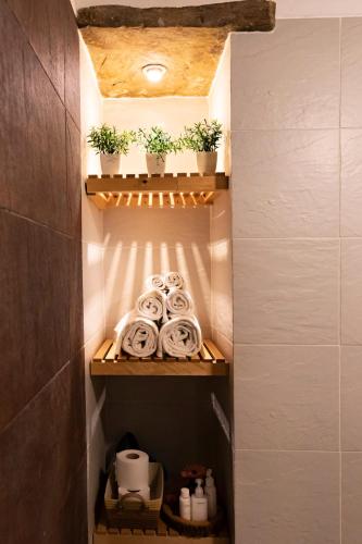 a walk in closet with plants and towels at Casas de Campo do Castro da Cola in Marchicão