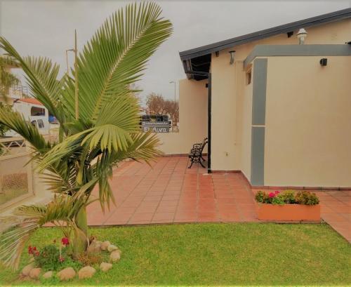 a palm tree in a yard next to a house at EL AURA in Federación