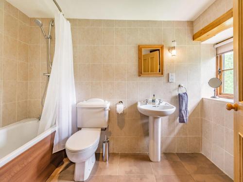 a bathroom with a toilet and a sink at Cilwen Fach in Abernant