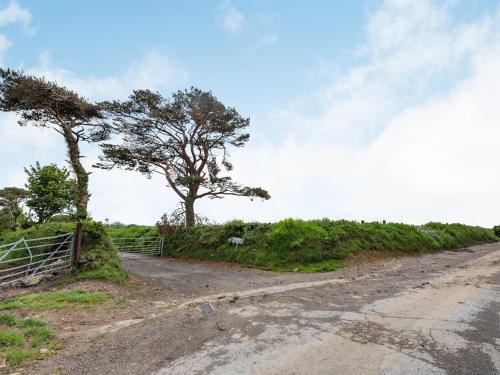 a dirt road with a tree and a fence at Cilwen Fach in Abernant