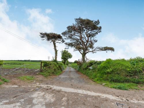 a dirt road with two trees and a fence at Cilwen Fach in Abernant