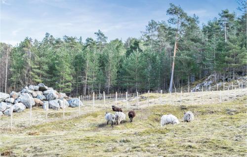 a group of sheep grazing in a field at 3 Bedroom Lovely Home In Kysnesstrand in Gausvik