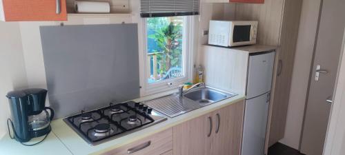 une petite cuisine avec un évier et un micro-ondes dans l'établissement Mobil home 630 camping l'europe, à Vic-la-Gardiole