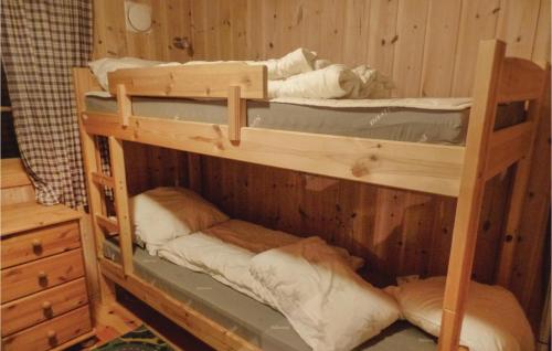 ホーヴデンにあるStunning Home In Hovden With 4 Bedrooms, Sauna And Wifiの木製の壁の客室で、二段ベッド2組が備わります。