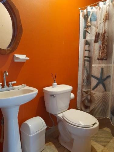 Surf Expeditions House – Photos 2