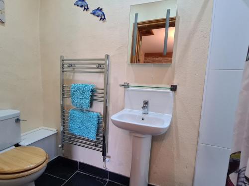 a bathroom with a sink and a toilet and a mirror at Puffin Cottage in Whitland