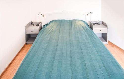 島上黑穆捷的住宿－1 Bedroom Awesome Apartment In Noirmoutier-en-lle，一张铺有绿色地毯的医院床