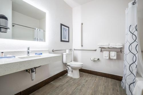 The Leo Collection Detroit, an Ascend Collection Hotelにあるバスルーム