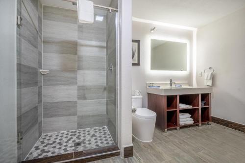 The Leo Collection Detroit, an Ascend Collection Hotelにあるバスルーム