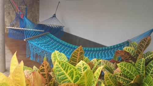 a hammock in a room with green plants at Hotel Dubrovnik in Mérida