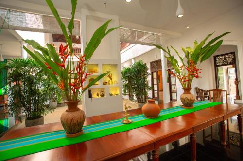 three vases on a table with plants on it at Niyagama House in Galle