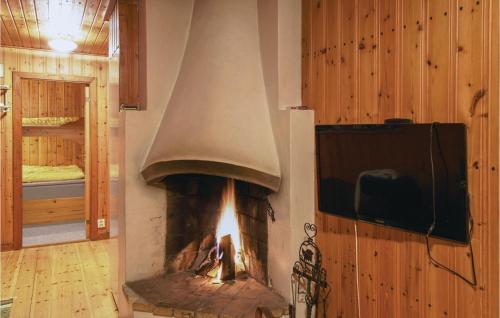 a fireplace in a room with a tv and a fire at 2 Bedroom Cozy Home In Sysslebäck in Branäs