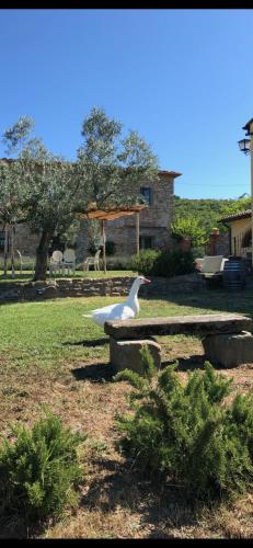 Κήπος έξω από το Agriturismo La Posta Reale