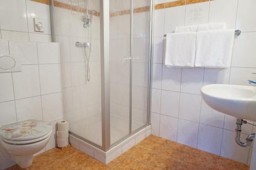 y baño con ducha, aseo y lavamanos. en Gasthof Pension Fischerstüberl, en Blaibach