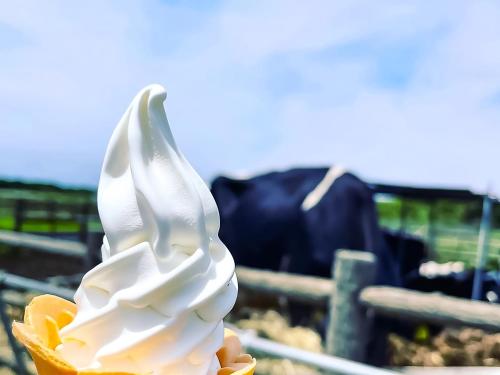 大島にある癒楽 伊豆大島のギャラリーの写真