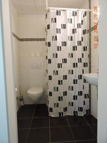 ein Bad mit einem WC und einem Duschvorhang in der Unterkunft Feldmann Haus in Saarbrücken