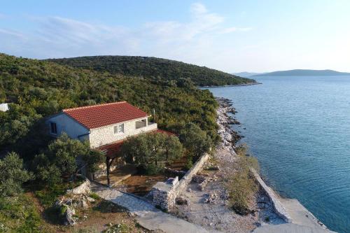 House Dolphin – Photos 3