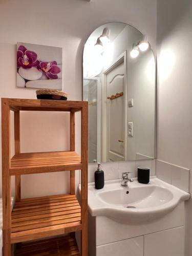 une salle de bain avec un lavabo et un miroir dans l'établissement Sur les hauteurs de Cauterets, 2 chambres 5 pers, à Cauterets