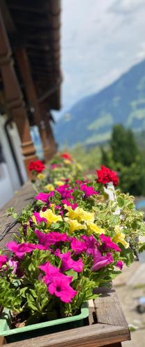 Gallery image of Pension Leamhof in Hopfgarten im Brixental