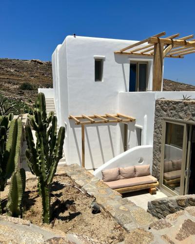 a white building with a chair and a cactus at Due Mari Mykonos in Agios Ioannis Mykonos