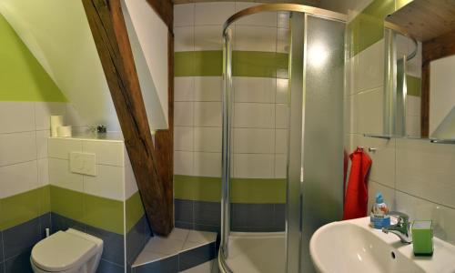 a bathroom with a shower and a sink and a toilet at Apartmány u Honzy in Frýdlant nad Ostravicí